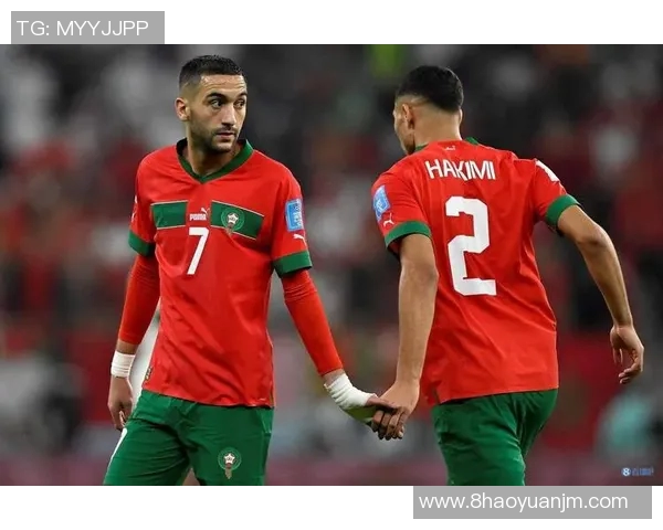 马里国家足球球星的辉煌历程与非洲绿茵场上的光荣梦想